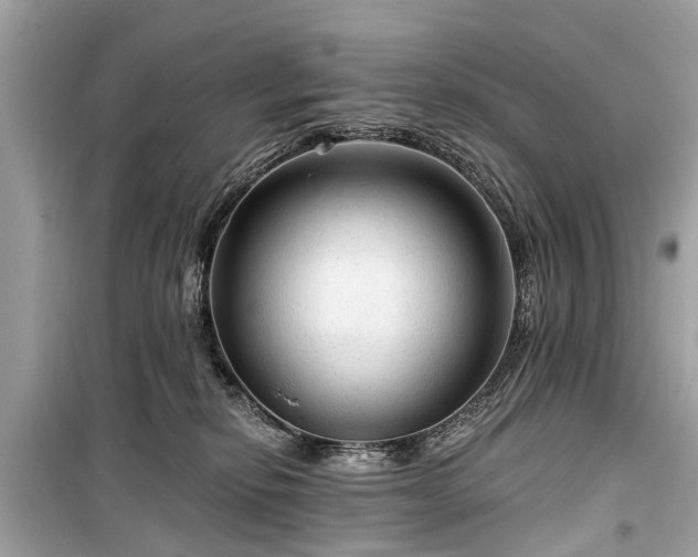 X0000099420278200805161053