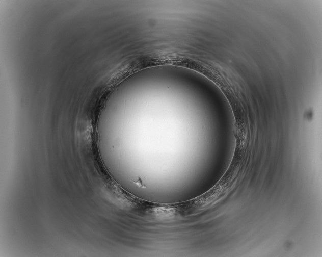 X0000099420279200805161053