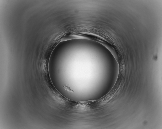 X0000099420280200805161053