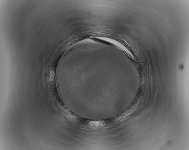 X0000099420281200805161053