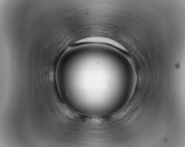 X0000099420282200805161053