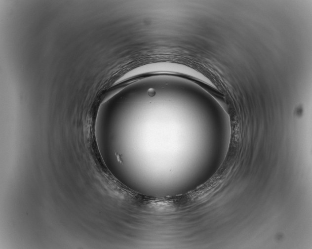 X0000099420283200805161053