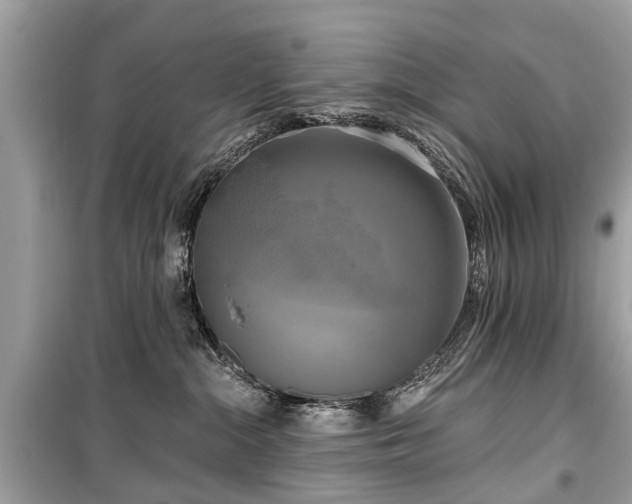 X0000099420284200805161053