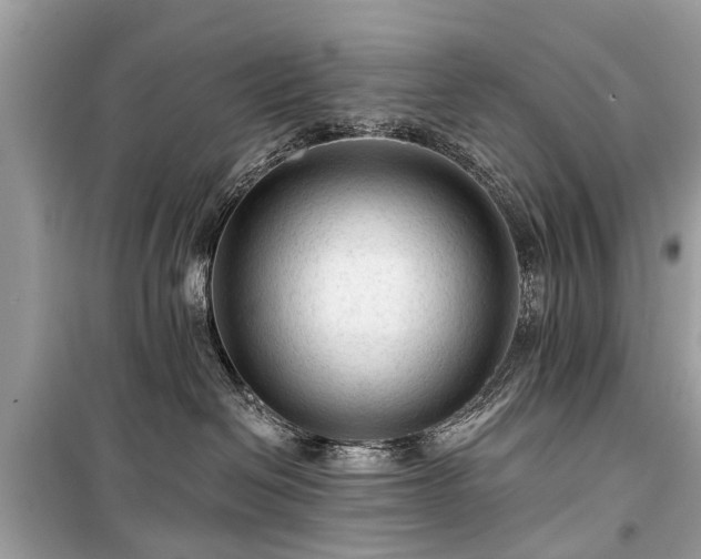 X0000099420286200805161053