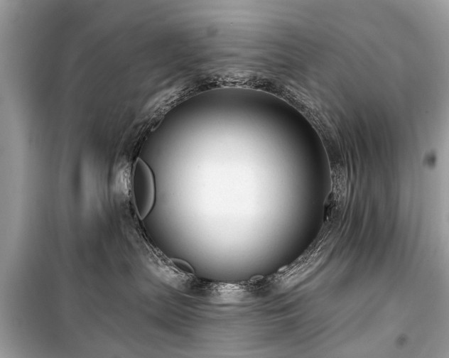 X0000099420287200805161053