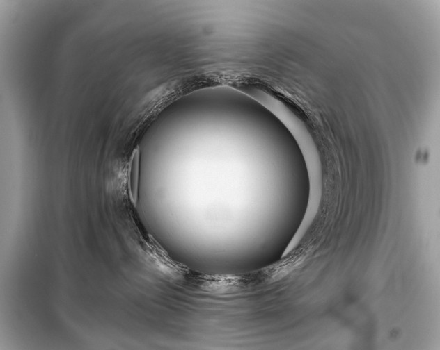 X0000099420288200805161053