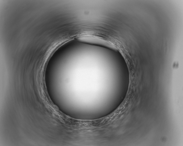 X0000099420289200805161052