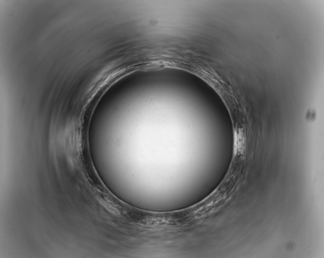 X0000099420291200805161052