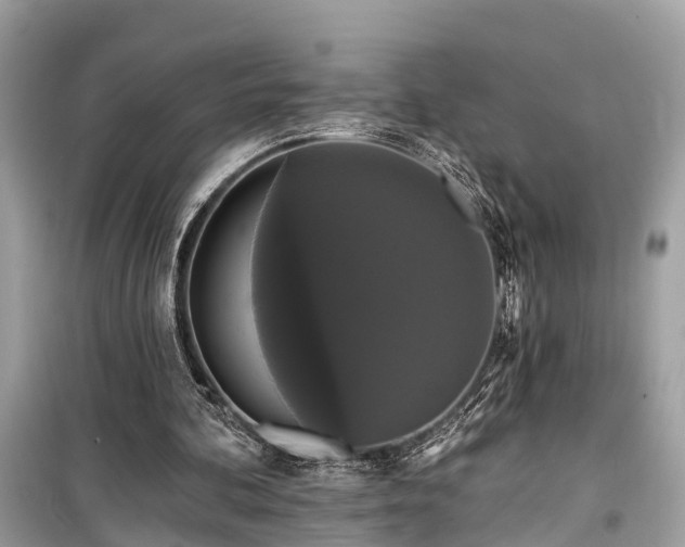 X0000099420292200805161052