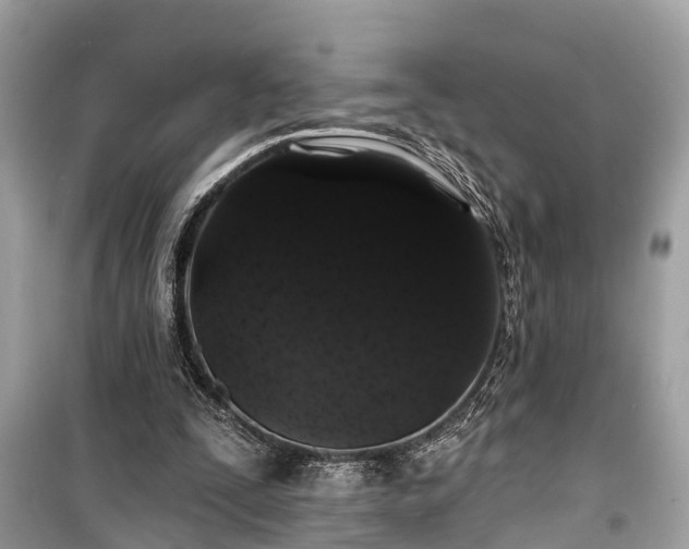 X0000099420295200805161052