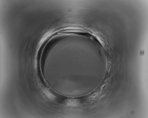 X0000099420296200805161052