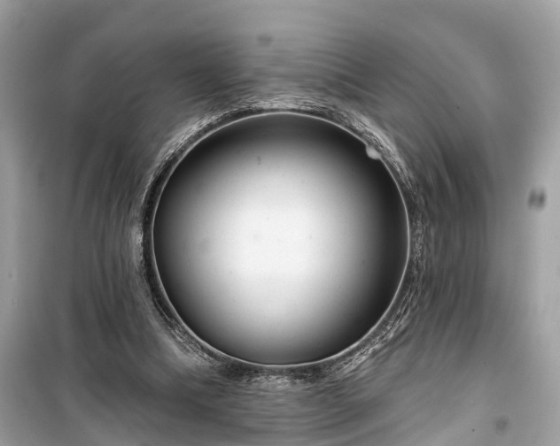 X0000099420298200805161052