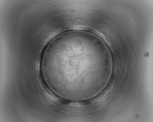 X0000099420299200805161052