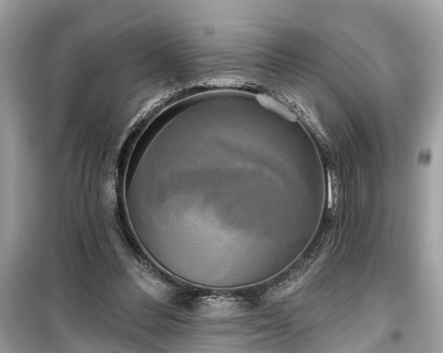 X0000099420300200805161052