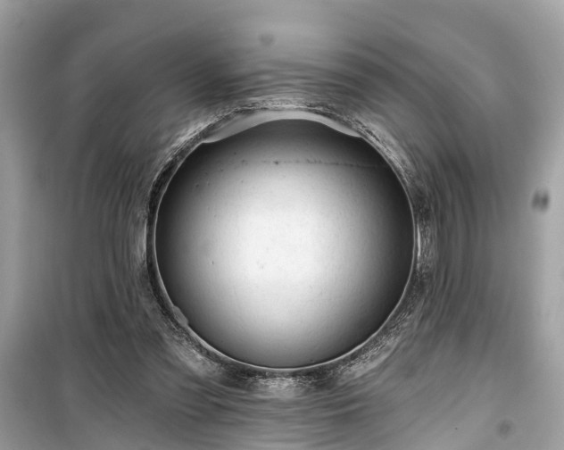 X0000099420301200805161052