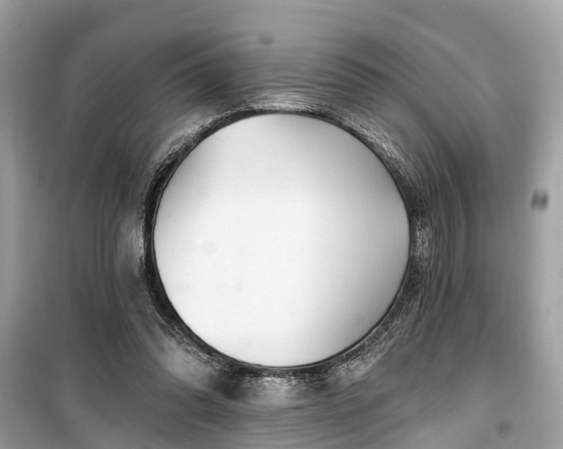 X0000099420302200805161052