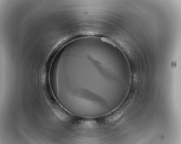 X0000099420304200805161052