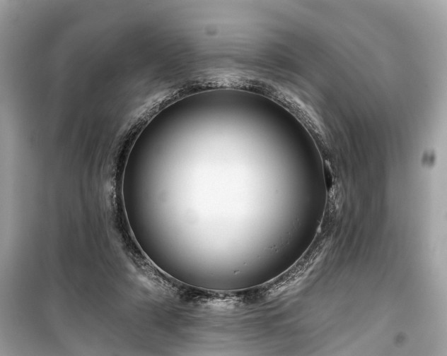 X0000099420306200805161052
