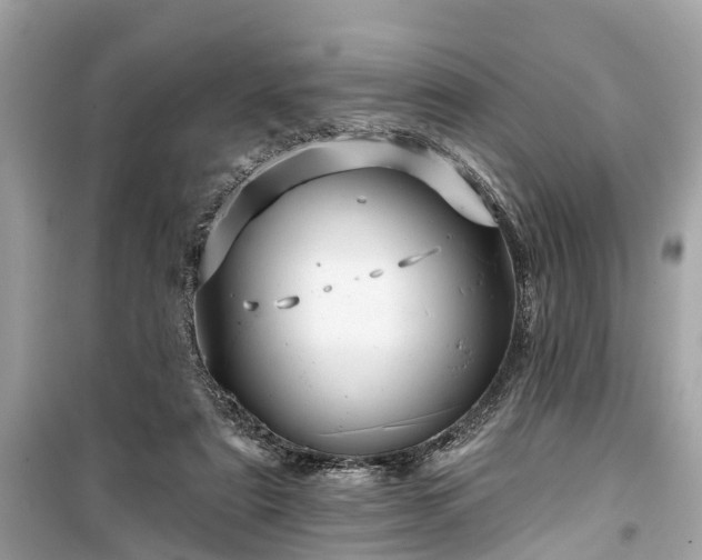 X0000099420307200805161052