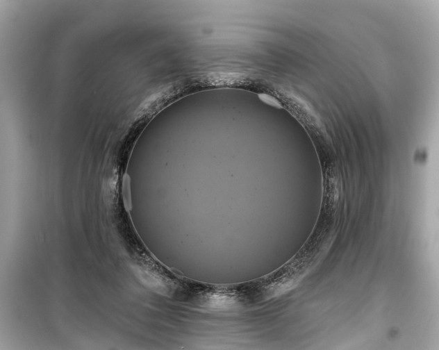 X0000099420308200805161052