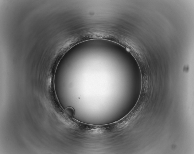 X0000099420310200805161052