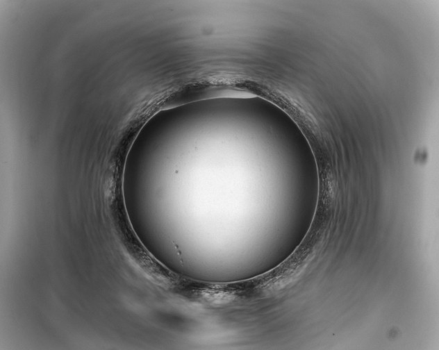 X0000099420311200805161052