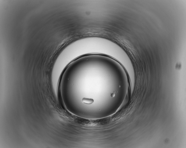 X0000099420312200805161052