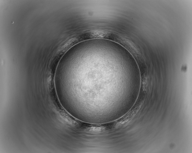 X0000099420314200805161052