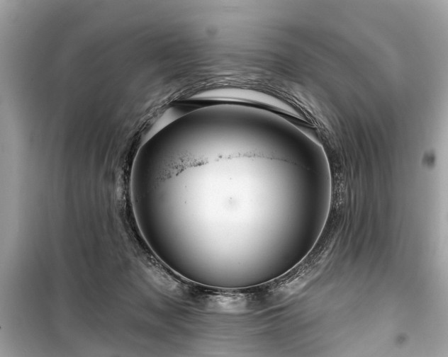 X0000099420317200805161052