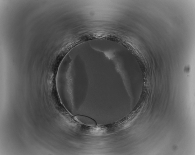 X0000099420319200805161052