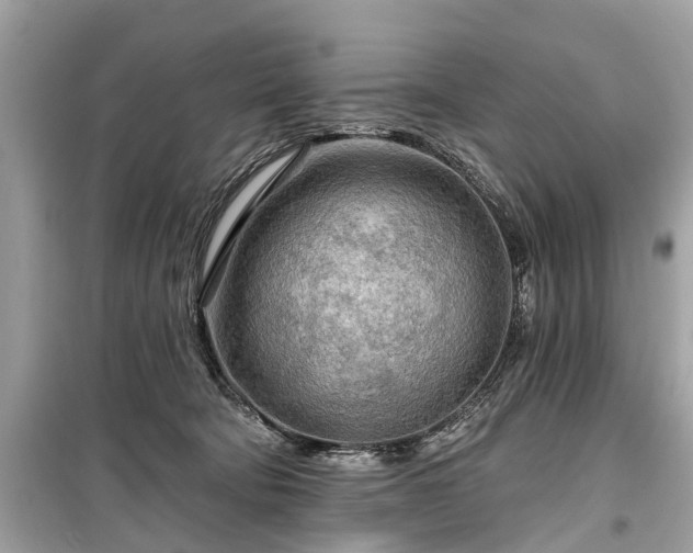 X0000099420322200805161052
