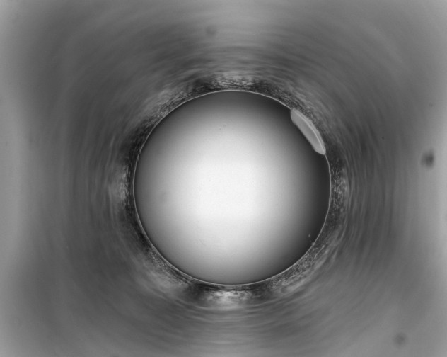 X0000099420323200805161052