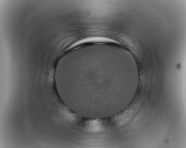 X0000099420325200805161052