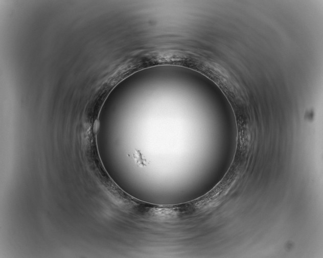 X0000099420327200805161052