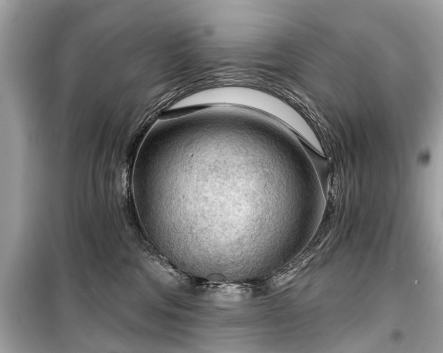 X0000099420330200805161051