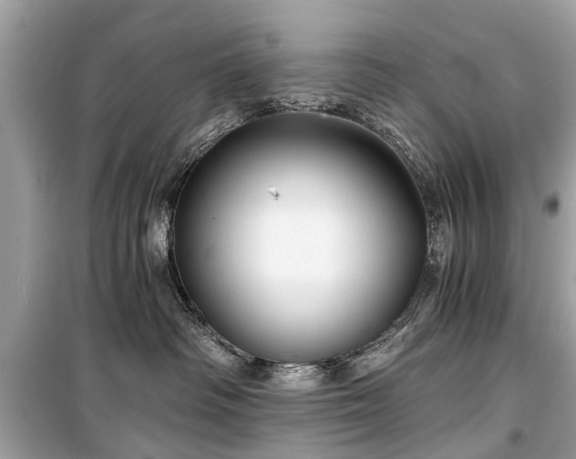 X0000099420334200805161051