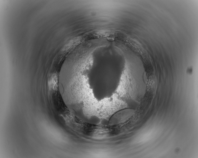 X0000099420335200805161051