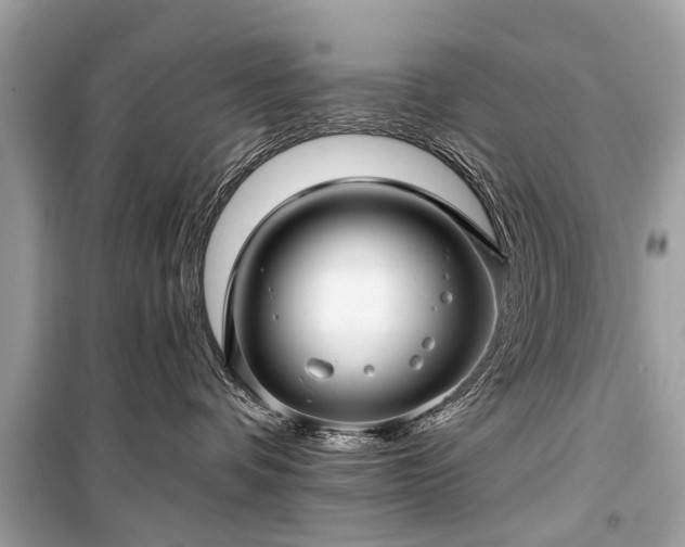 X0000099420336200805161051