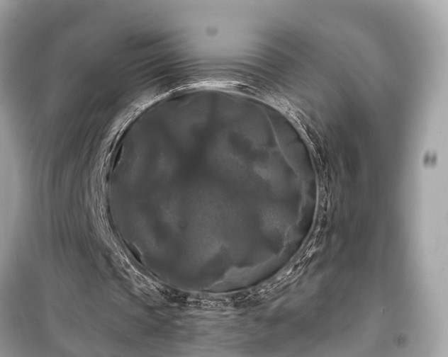 X0000099420337200805161051