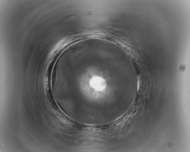 X0000099420339200805161051