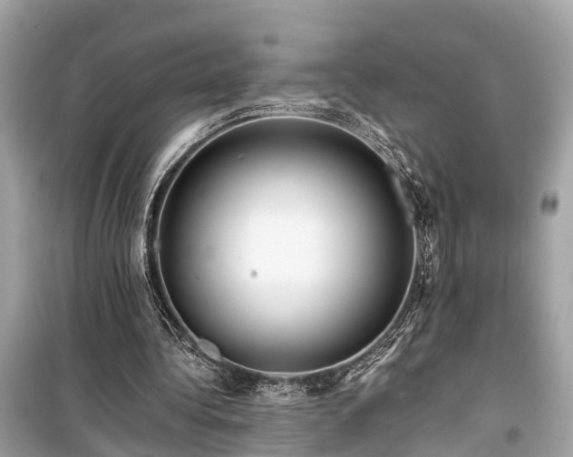 X0000099420340200805161051