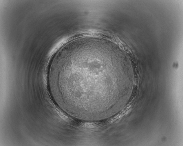 X0000099420341200805161051