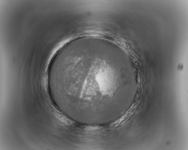 X0000099420342200805161051