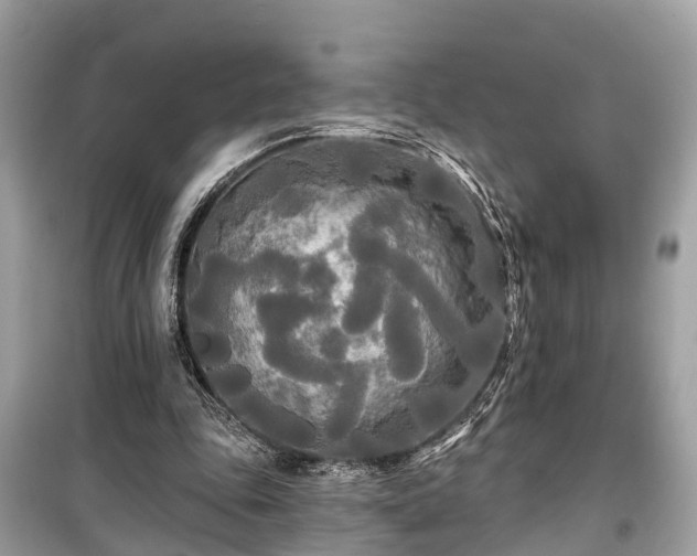 X0000099420343200805161051