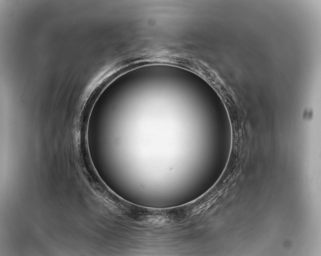 X0000099420344200805161051