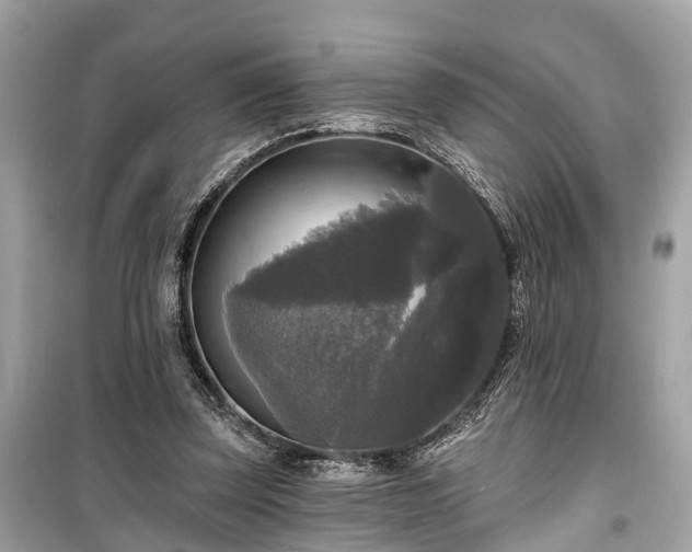 X0000099420347200805161051