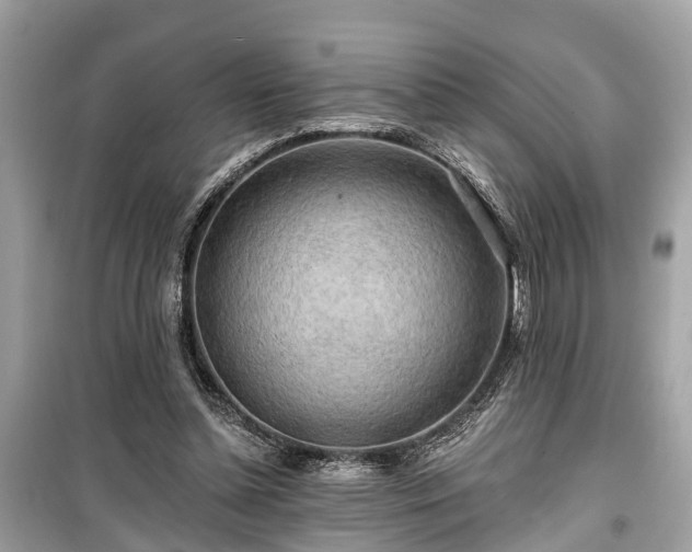 X0000099420348200805161051