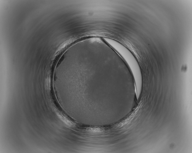 X0000099420349200805161051