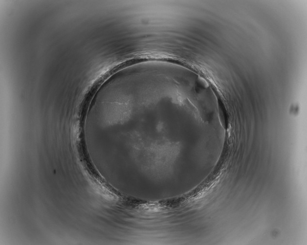 X0000099420351200805161051