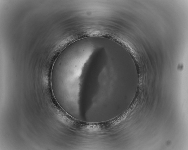 X0000099420353200805161051